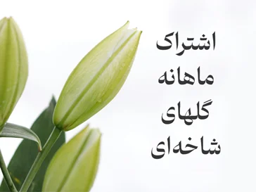 اشتـراک ماهانـه